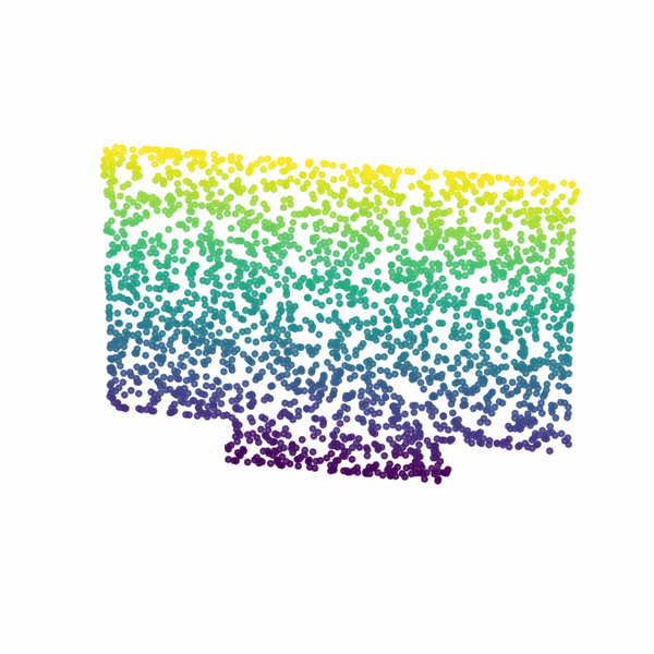 Display input point cloud